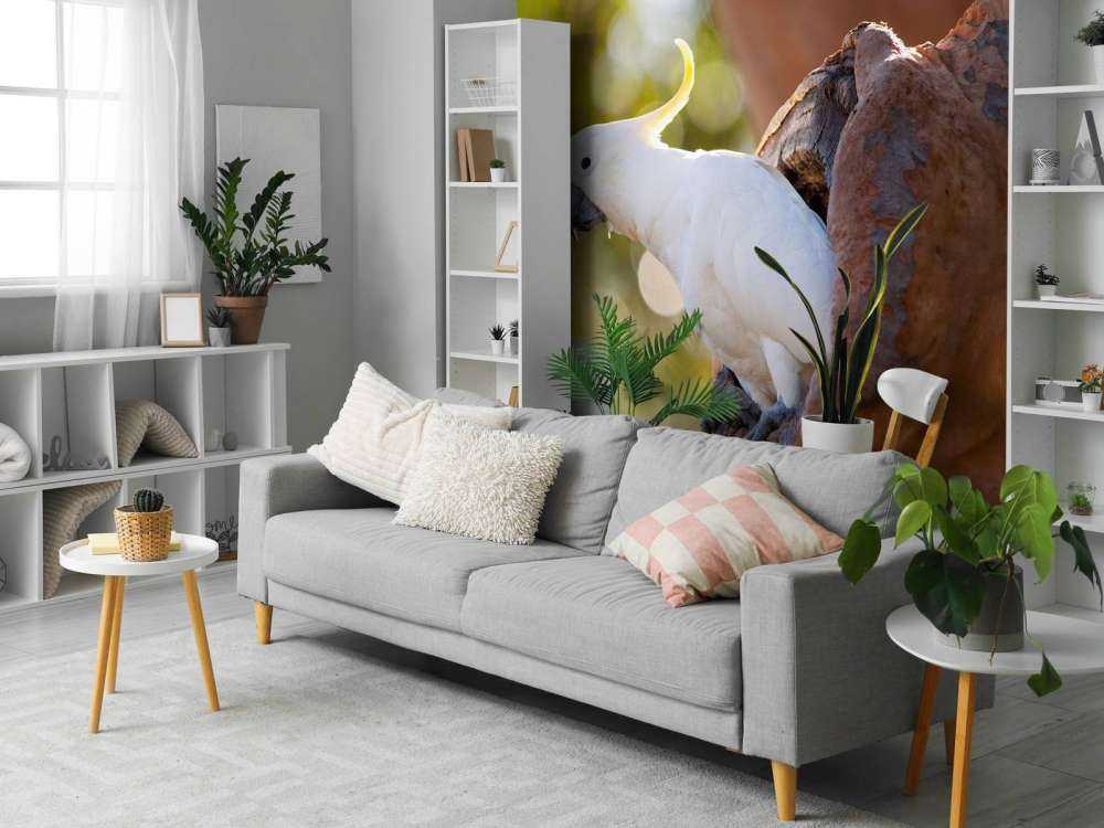 Cockatoo in tree cavity