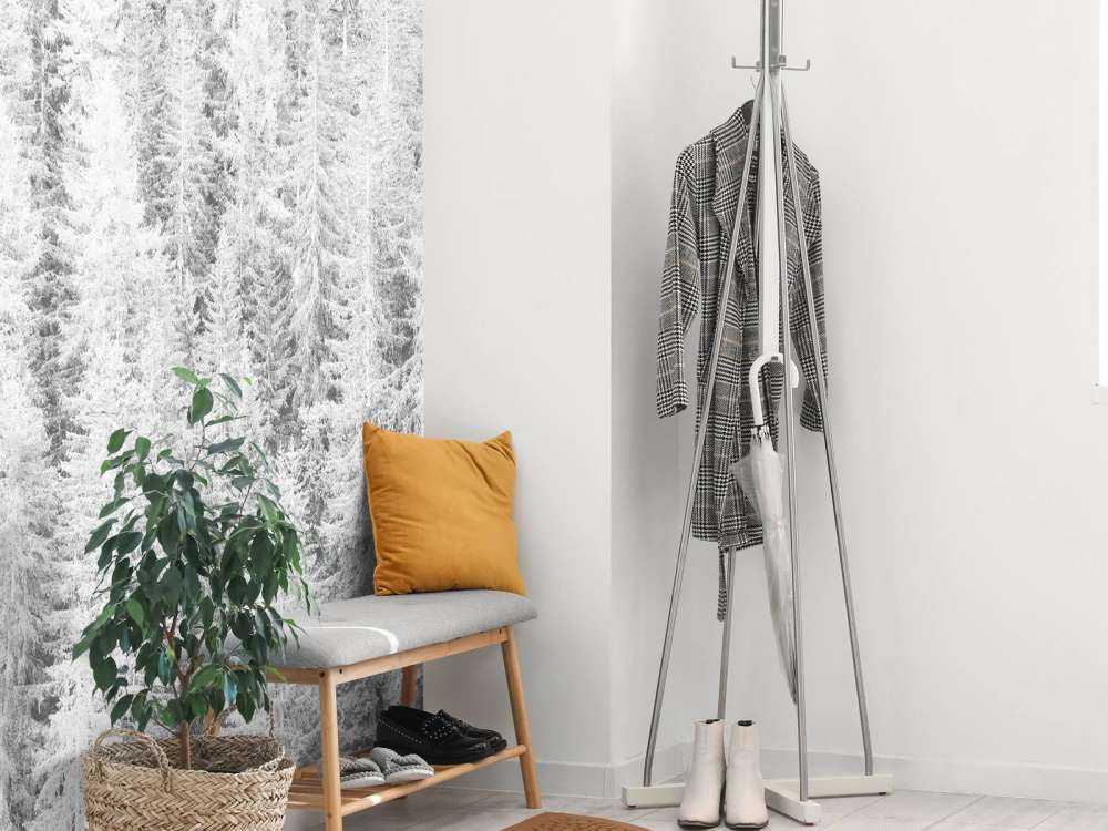 Conifers in black and white