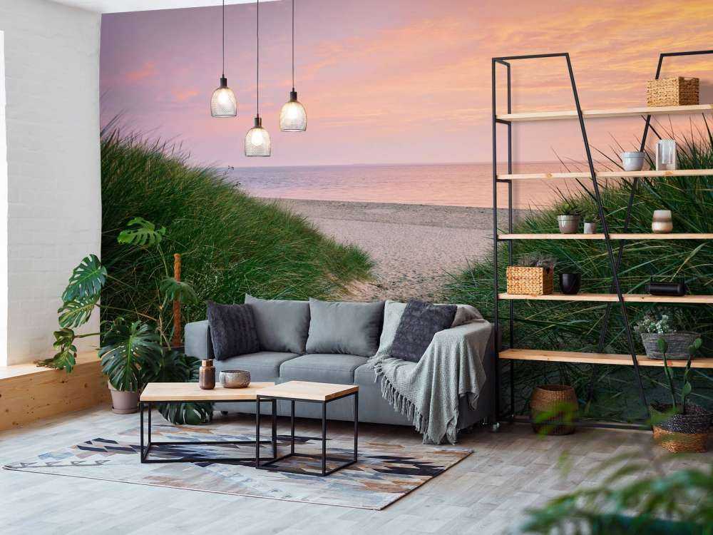 Dune passage with sunrise