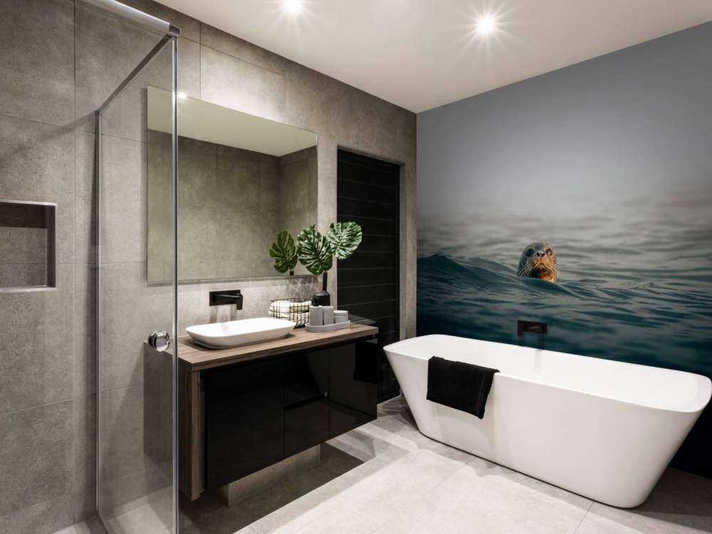 Seal off Danish coast