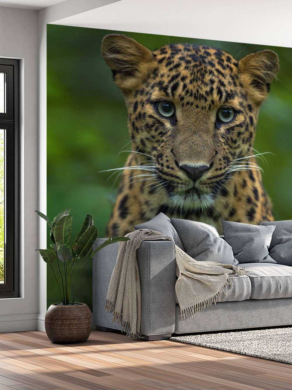 Concentrated leopard