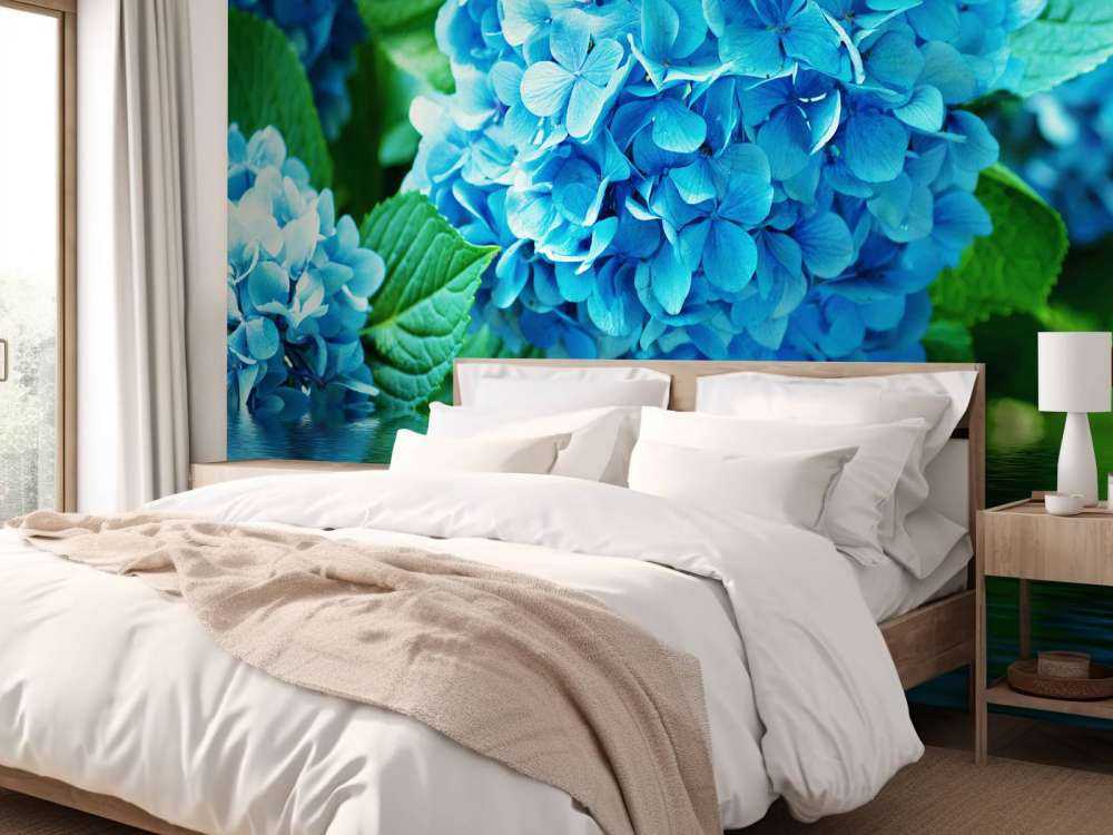 Hydrangea in water