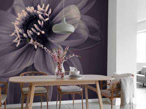 Dark dahlia flower