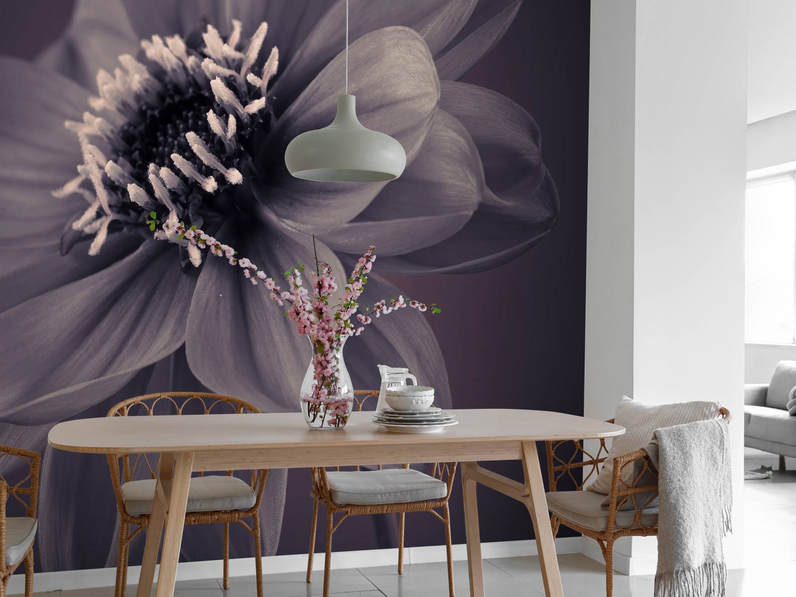 Dark dahlia flower