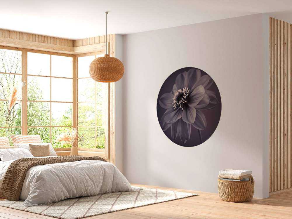 Dark dahlia flower