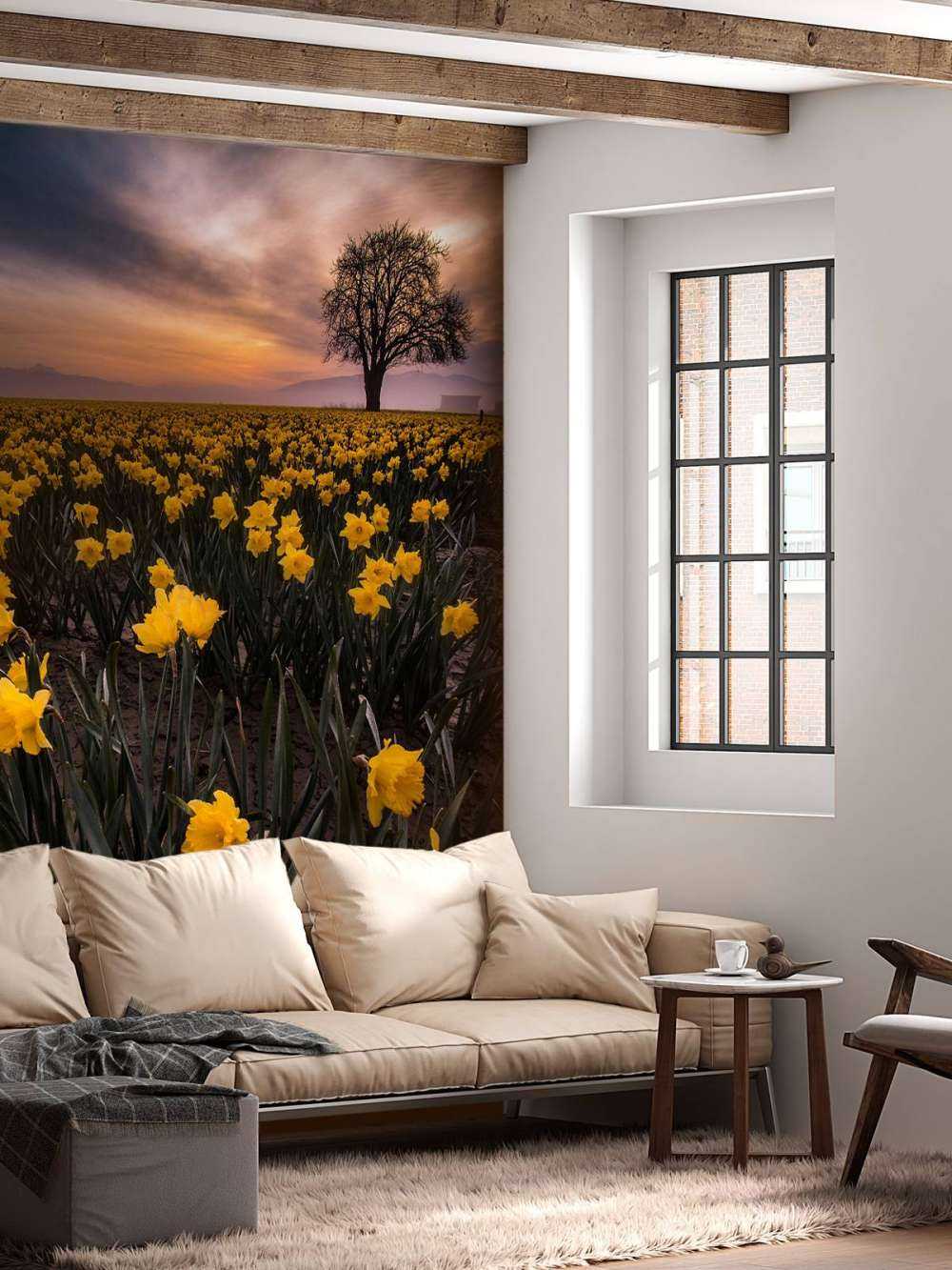 Field with daffodils