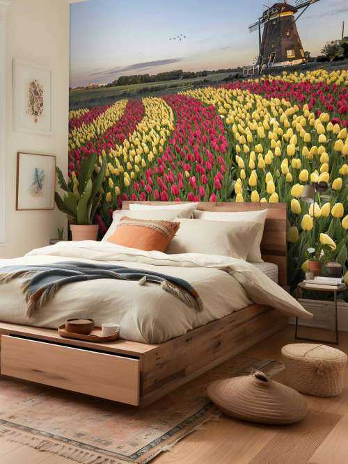 Dutch tulip field