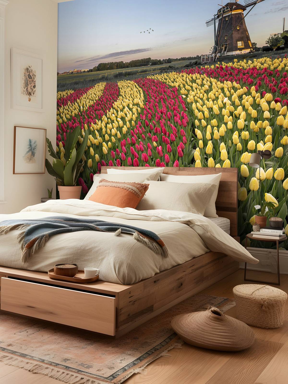 Dutch tulip field