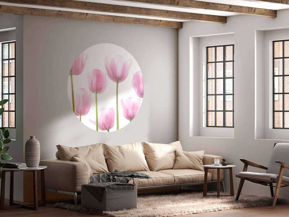 Pink Tulips