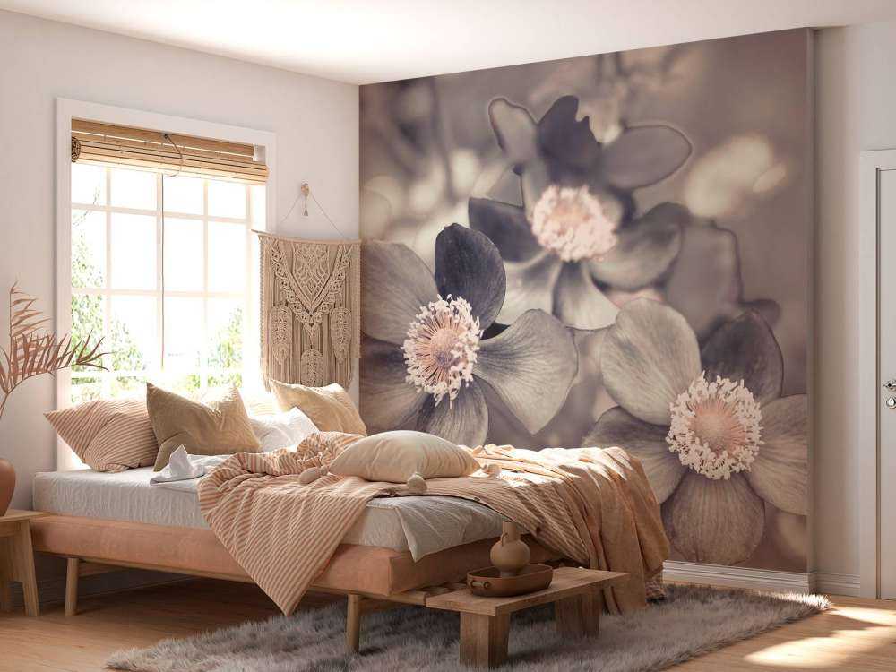Anemone flower