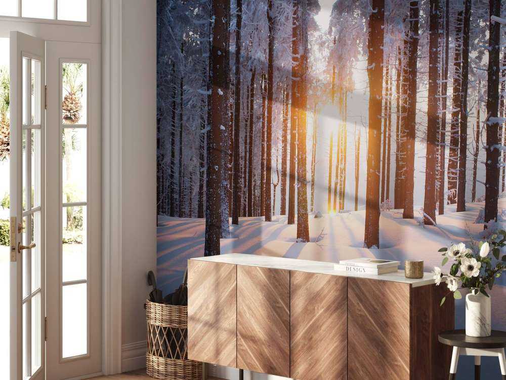 Sunset in a winter forest