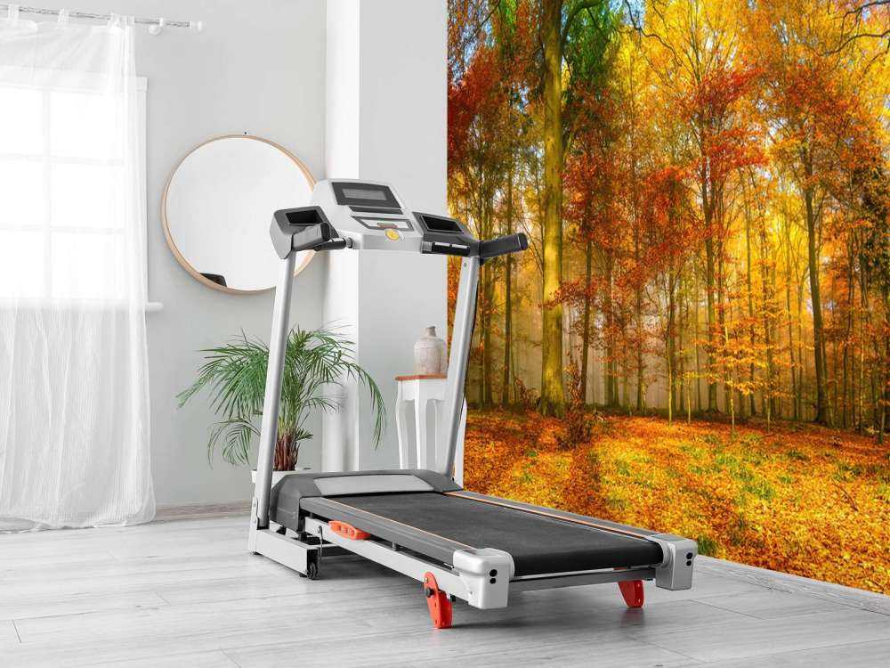 Colorful forest panorama