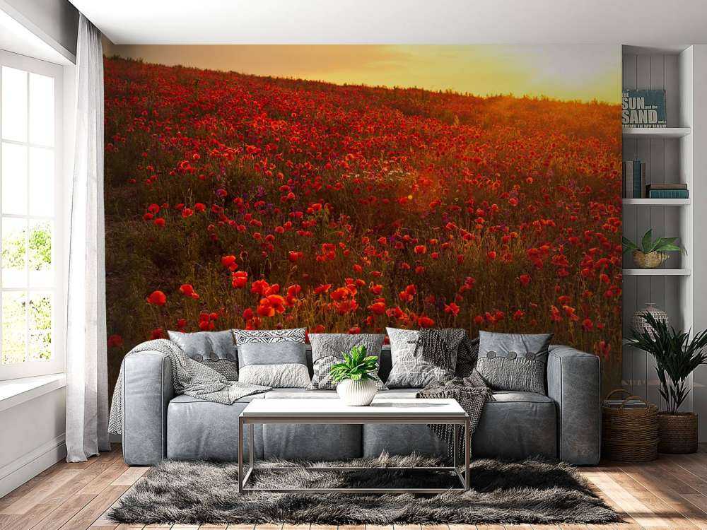 Poppies on a hill