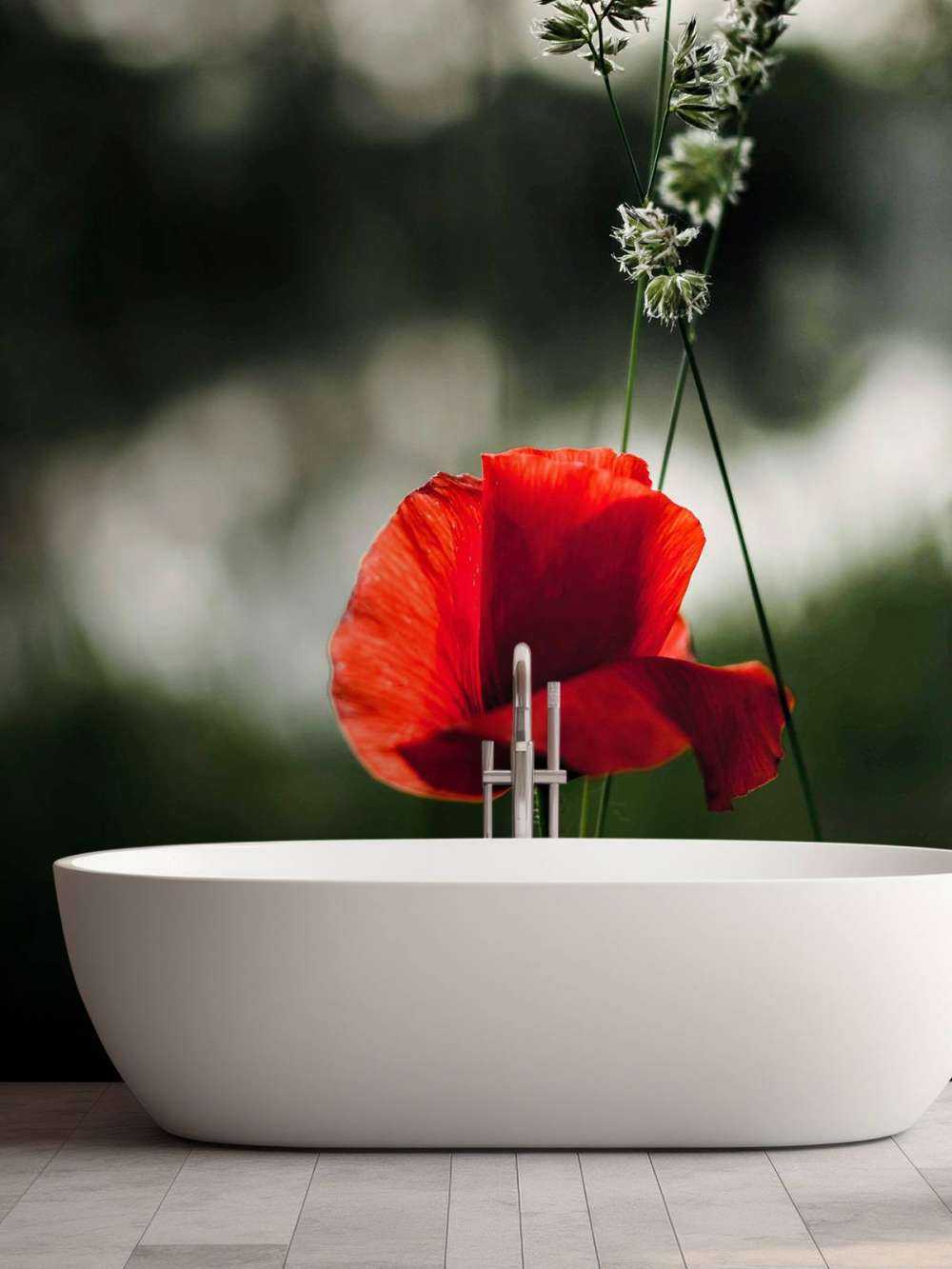 Red poppy with grass