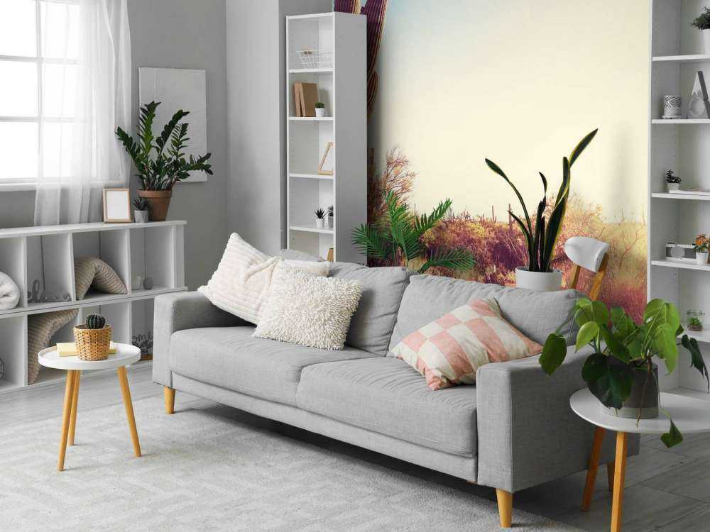 Cactus in the desert