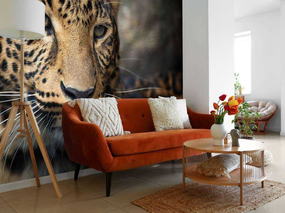 Close, up of a leopard