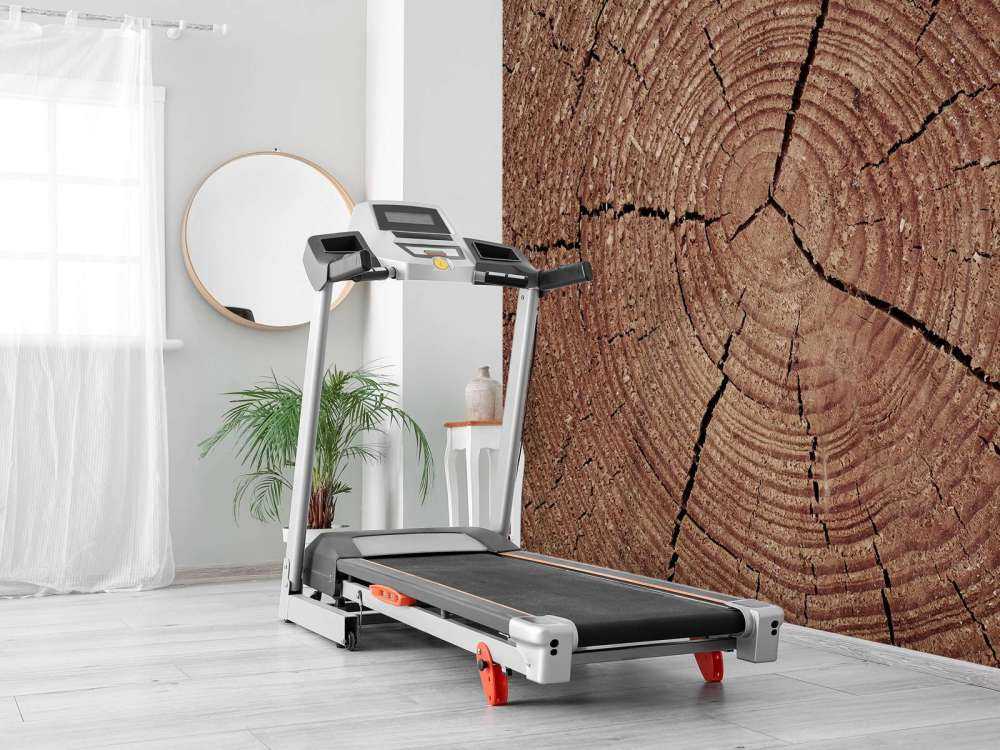 Trunk with annual rings