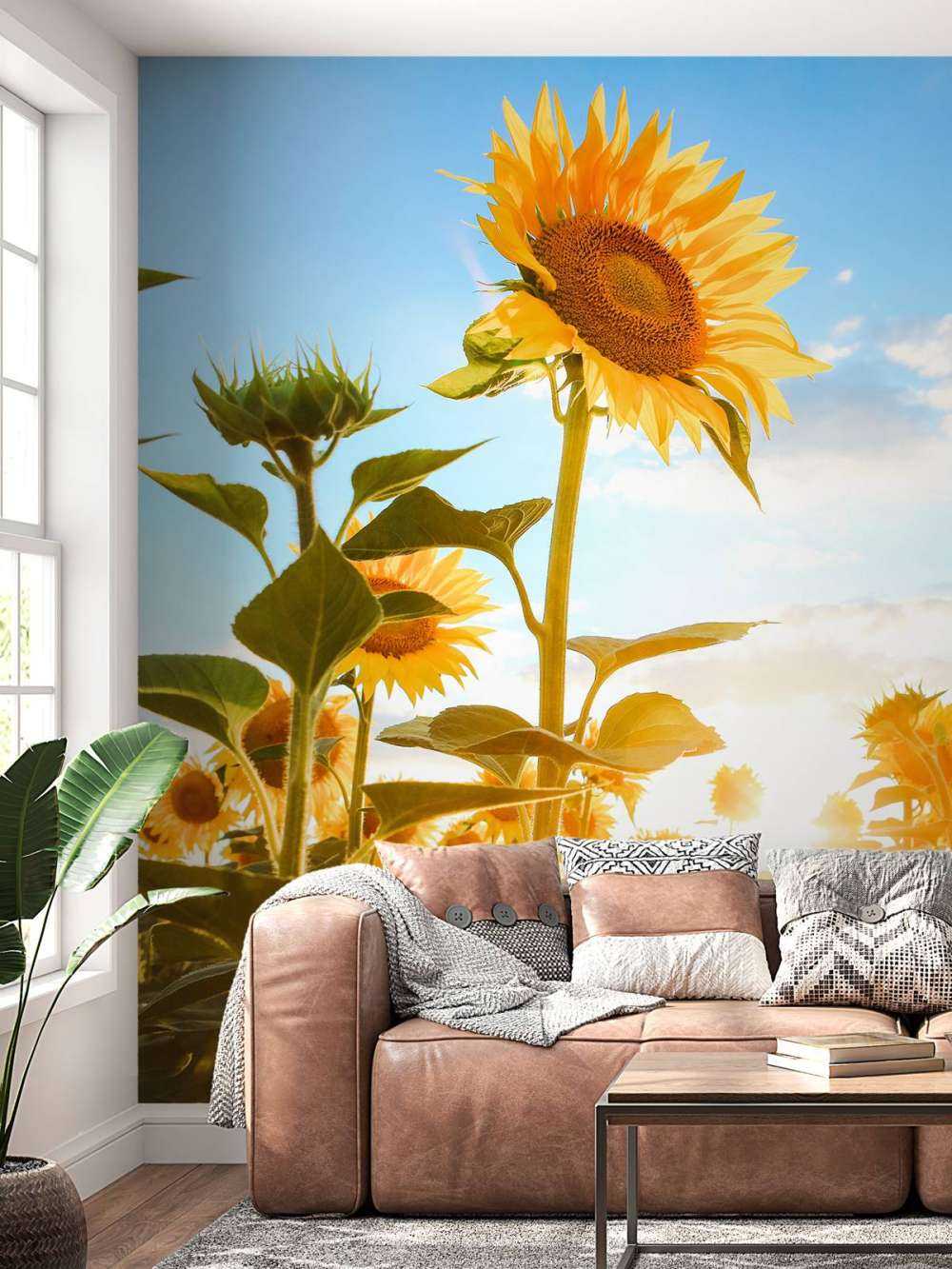 Sunflower with blue sky