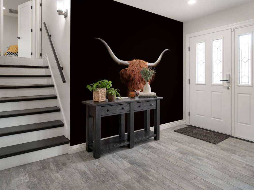 Scottish Highlander on dark background