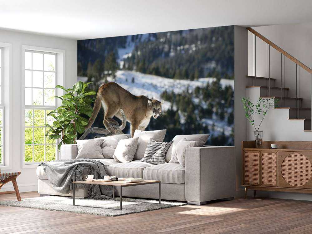 Mountain lion on a dead tree