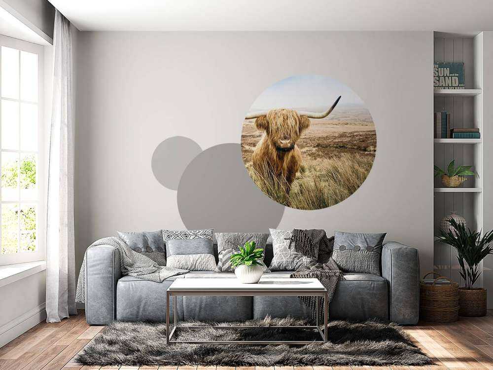 Scottish Highlander with reed