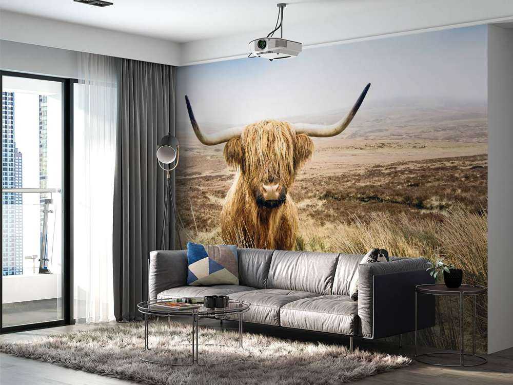 Scottish Highlander with reed