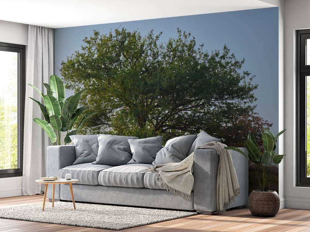 Lonely tree on the heath