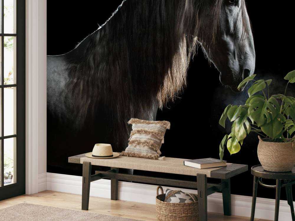 Mould with black background