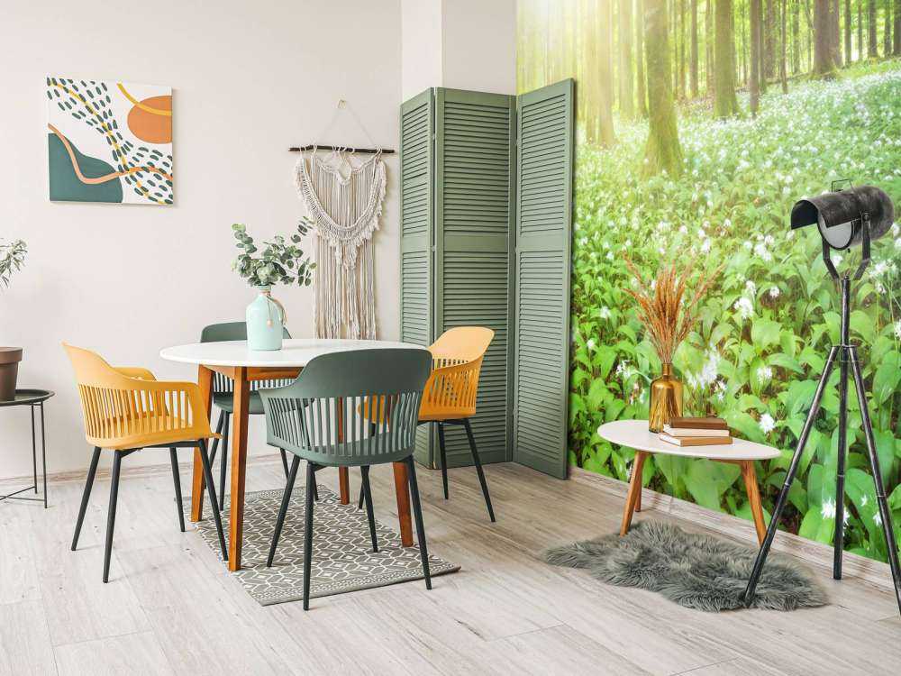 Wild forest at sunrise