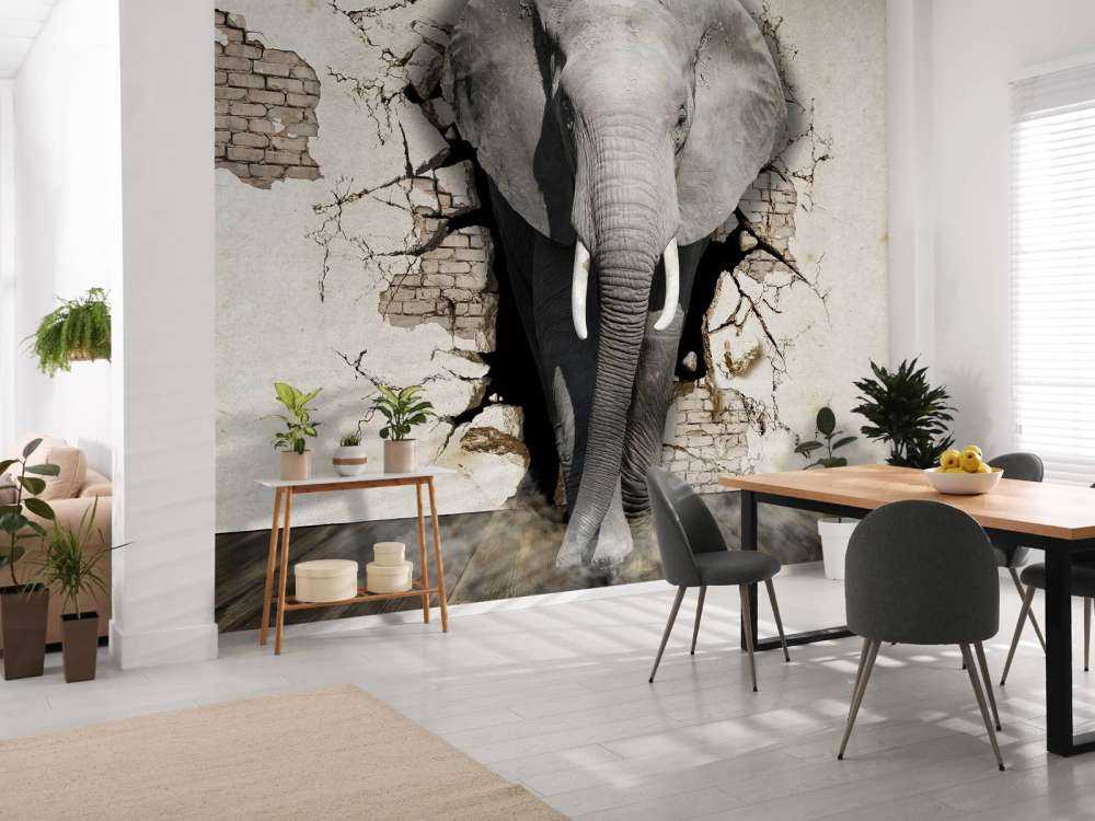 3D Elephant from the wall