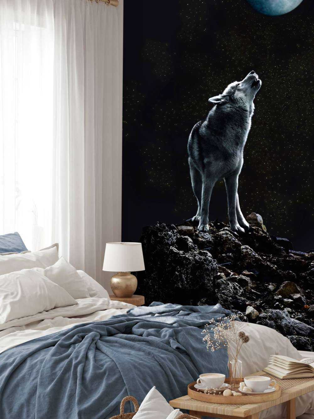 Moon Call Solitary Watchman