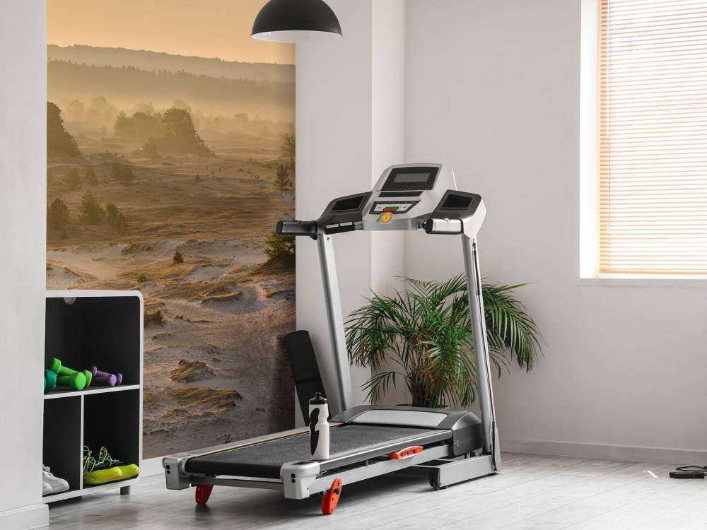 Kootwijker sand