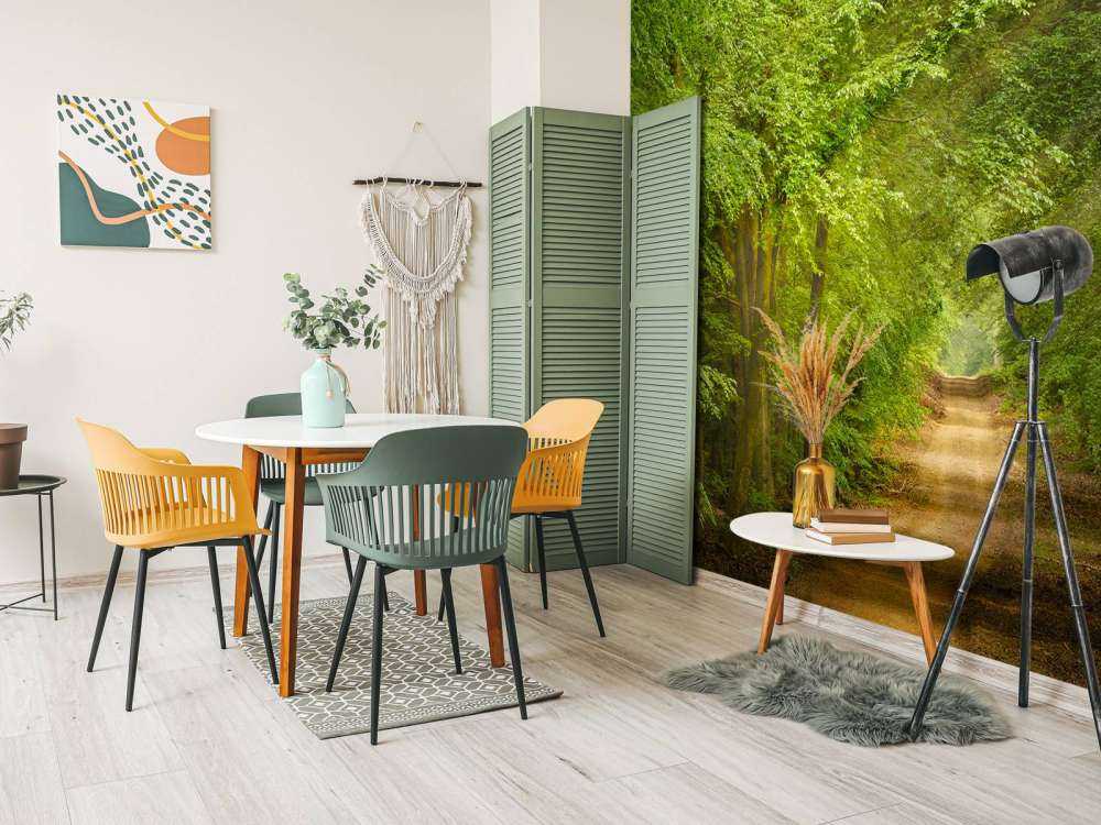 Toad in forest with sunbeams