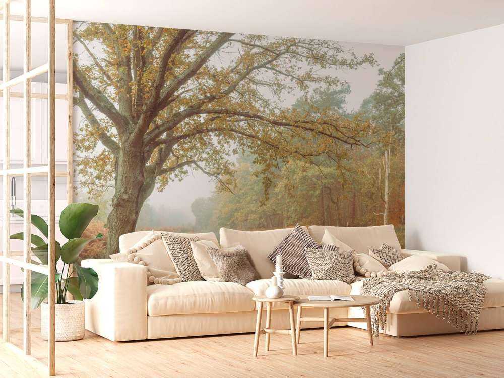 Lake in autumn forest