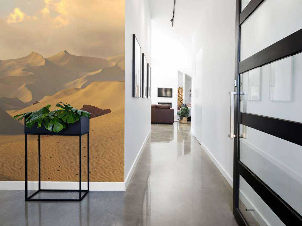 Golden hour in the desert