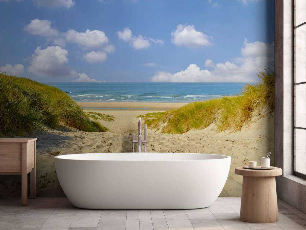 Beach access through the dunes