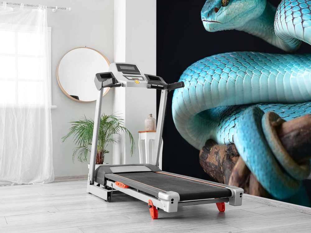 Blue Insular Snake