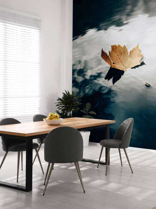Autumn leaf