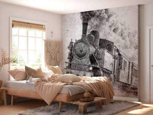 Steam locomotive