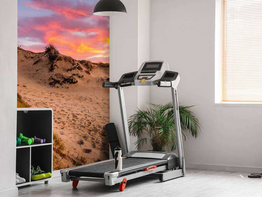 Sunset from the dunes