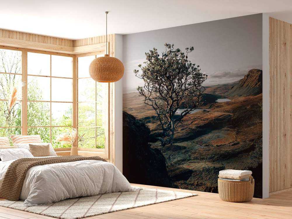 The beginning of the day