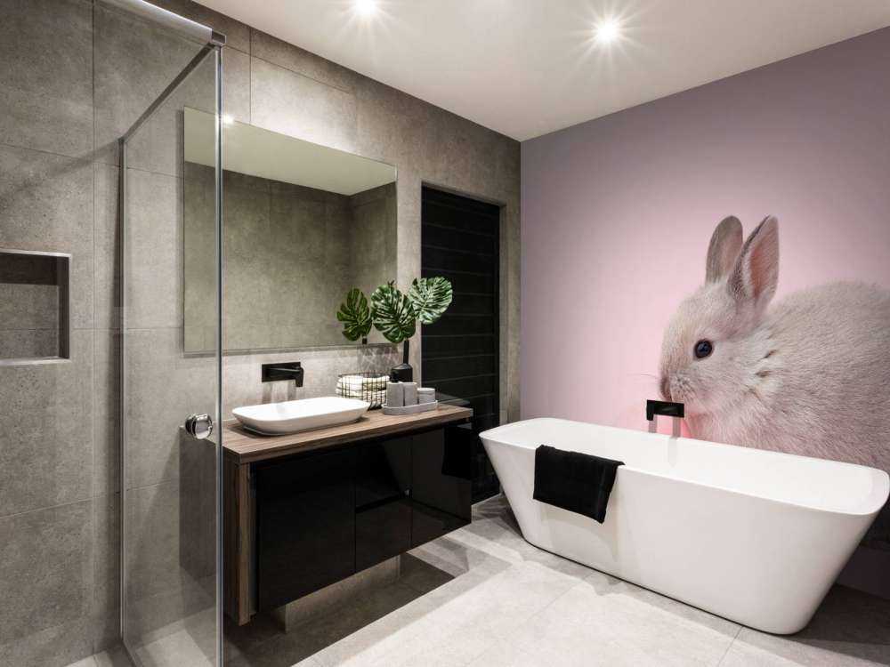 Rabbit with egg