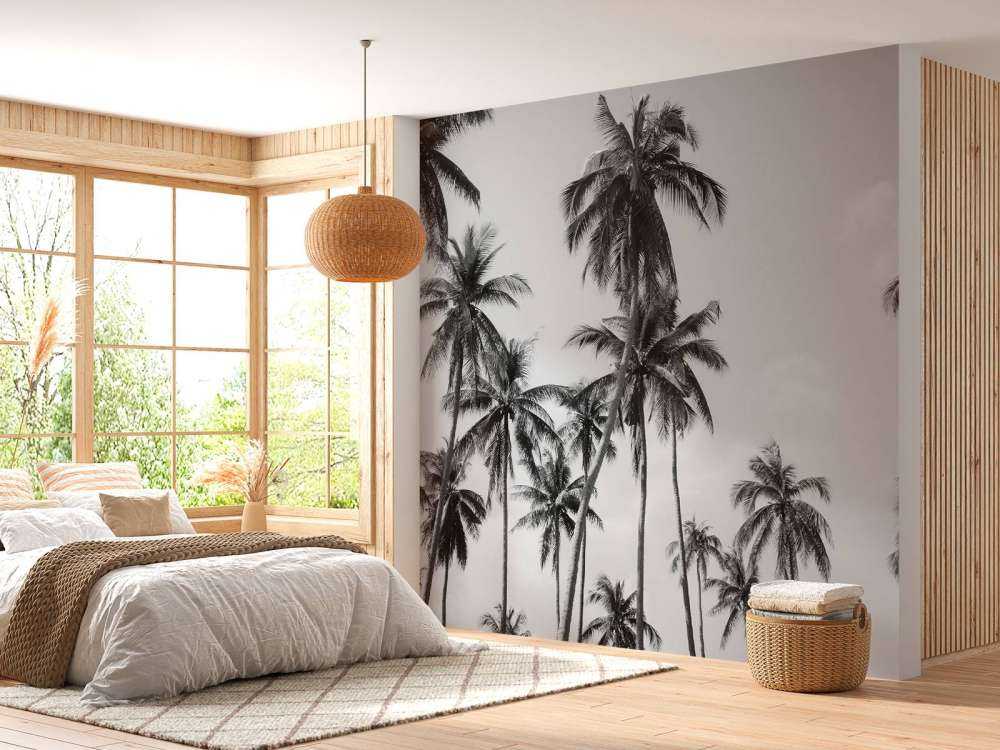 Palm trees in black and white