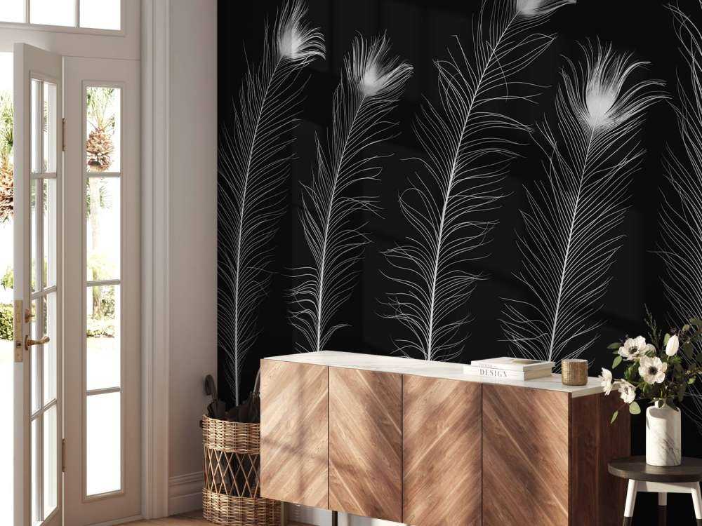 White peacock feathers