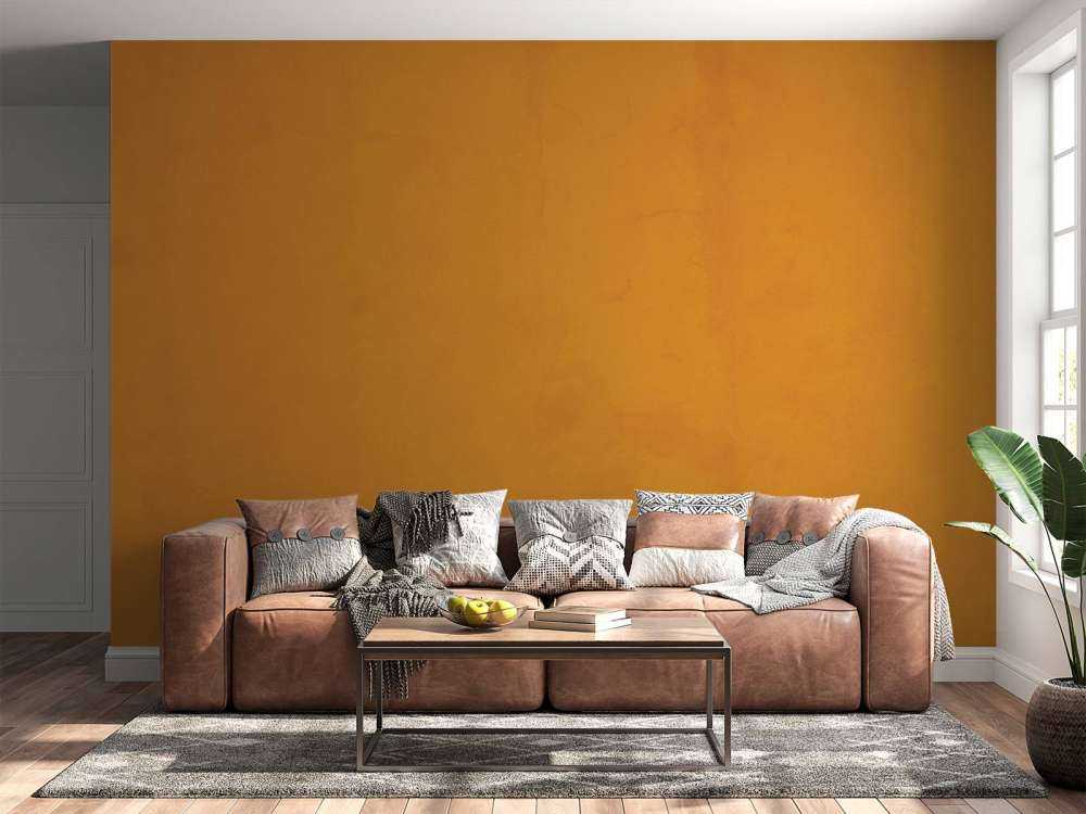 King's day orange concrete