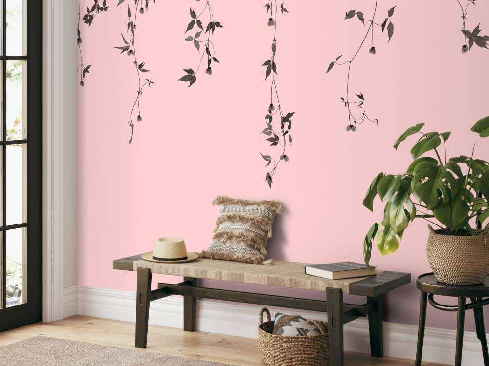 Clematis twigs on pink