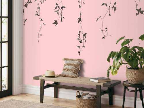Clematis twigs on pink