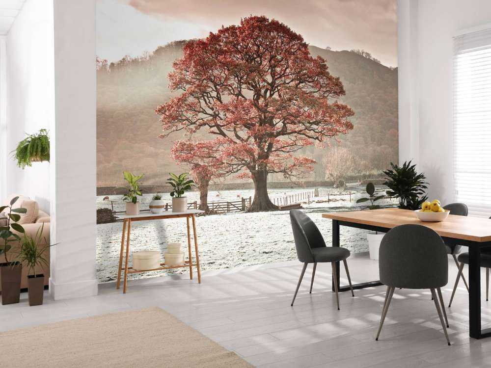 Oak tree in winter