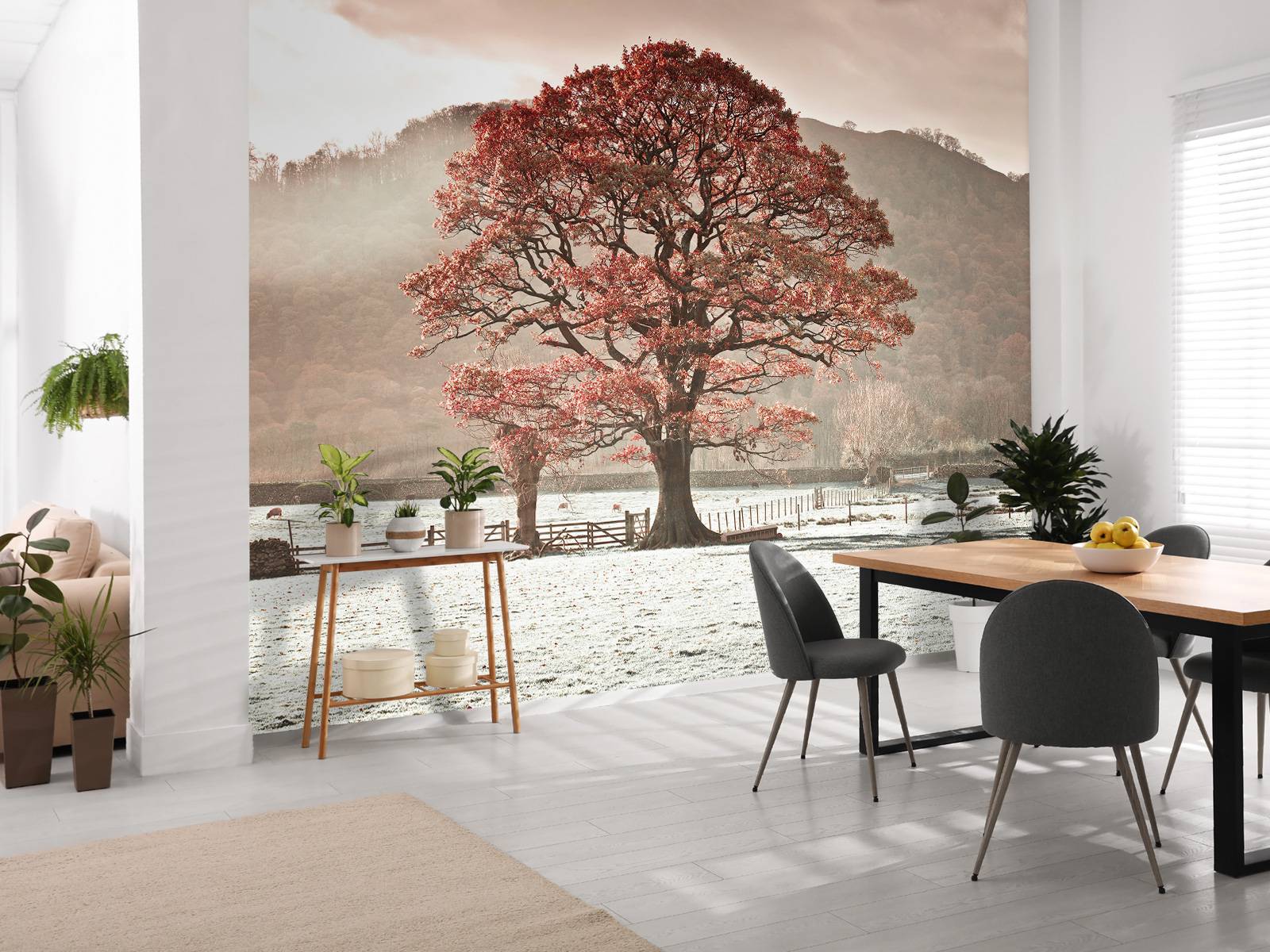 Oak tree in winter