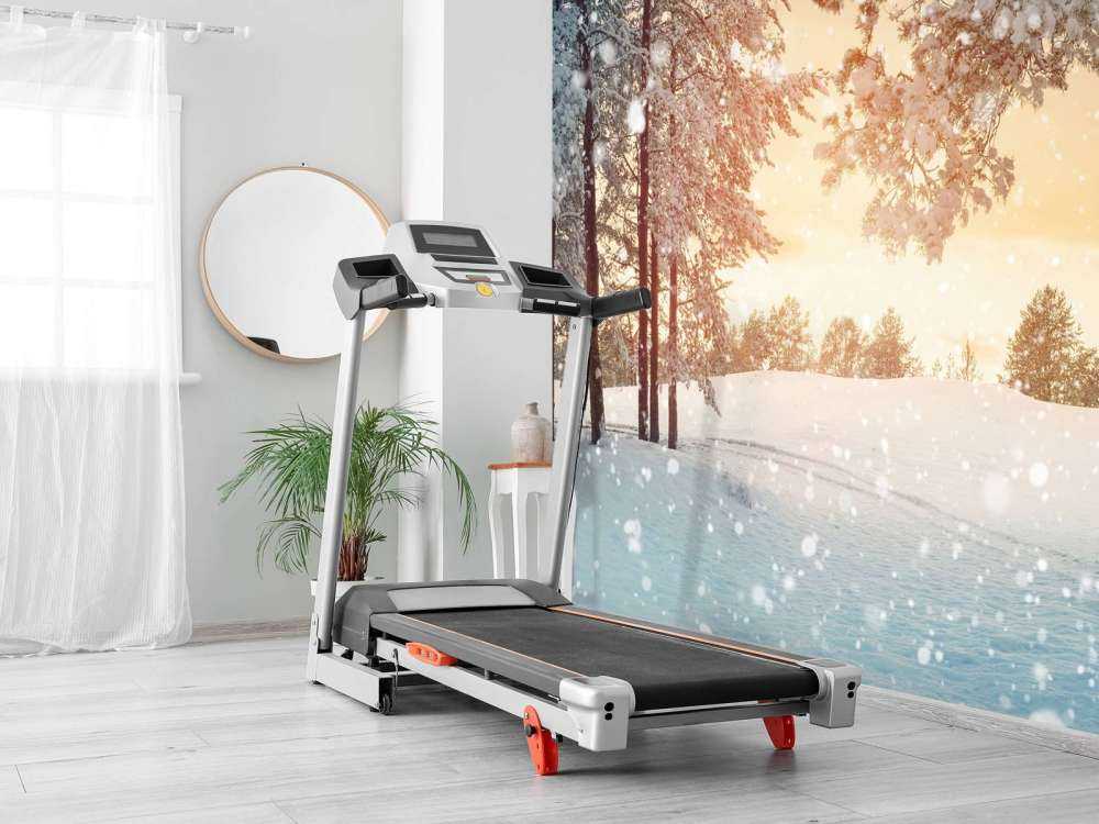 Pine trees with snow